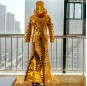 Golden mirror mermaid dance dress for performance